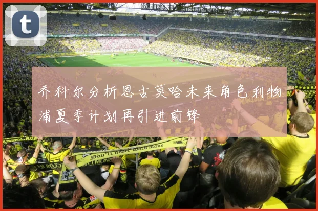 乔科尔分析恩古莫哈未来角色利物浦夏季计划再引进前锋
