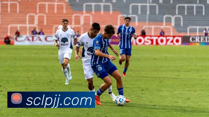 App Interface Preview