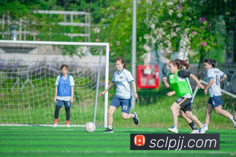 数据防护可视化